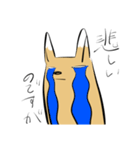 チべットすなぎつねくん（個別スタンプ：13）