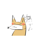 チべットすなぎつねくん（個別スタンプ：16）