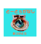 ユンヌフトゥバ：与論言葉（個別スタンプ：1）
