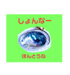 ユンヌフトゥバ：与論言葉（個別スタンプ：3）