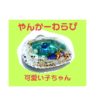 ユンヌフトゥバ：与論言葉（個別スタンプ：7）