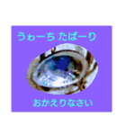 ユンヌフトゥバ：与論言葉（個別スタンプ：13）