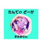 ユンヌフトゥバ：与論言葉（個別スタンプ：18）
