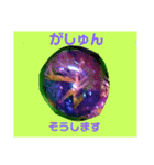 ユンヌフトゥバ：与論言葉（個別スタンプ：21）