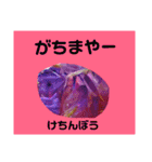 ユンヌフトゥバ：与論言葉（個別スタンプ：33）