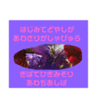 ユンヌフトゥバ：与論言葉（個別スタンプ：36）