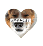 麦サク（個別スタンプ：2）