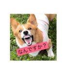 麦サク（個別スタンプ：3）