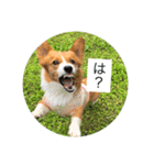 麦サク（個別スタンプ：10）