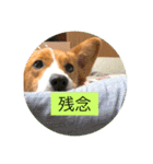 麦サク（個別スタンプ：15）