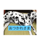 雫ちゃんスタンプ（個別スタンプ：2）