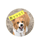 麦ムキスタンプ（個別スタンプ：9）