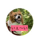 麦ムキスタンプ（個別スタンプ：14）