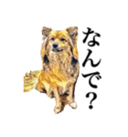 meの愛しの家族たち（個別スタンプ：2）