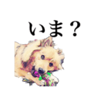 meの愛しの家族たち（個別スタンプ：3）