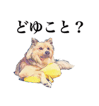meの愛しの家族たち（個別スタンプ：6）