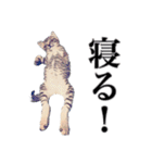 meの愛しの家族たち（個別スタンプ：10）
