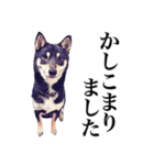 meの愛しの家族たち（個別スタンプ：14）