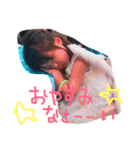 のあ♡あお（個別スタンプ：24）