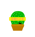 ササボテン（個別スタンプ：3）