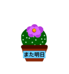 ササボテン（個別スタンプ：4）