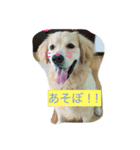 ろあくん（個別スタンプ：1）