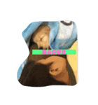 ろあくん（個別スタンプ：7）