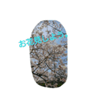 ハッピーライフ54（個別スタンプ：6）