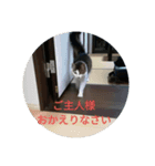 猫にゃースタンプ（個別スタンプ：8）