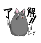 たまうさ＆ねこ（個別スタンプ：14）