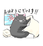 たまうさ＆ねこ（個別スタンプ：18）