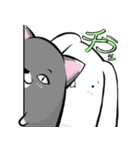 たまうさ＆ねこ（個別スタンプ：31）