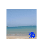 夏冬（個別スタンプ：8）
