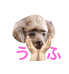 ちぃちゃん.（個別スタンプ：6）