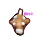 日常使える。（個別スタンプ：8）
