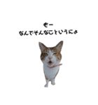 うちのゴジ（個別スタンプ：3）