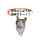 うちのゴジ（個別スタンプ：4）