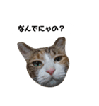 うちのゴジ（個別スタンプ：8）