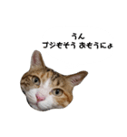 うちのゴジ（個別スタンプ：12）