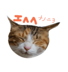 うちのゴジ（個別スタンプ：14）