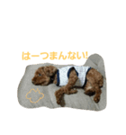 てつちゃん3（個別スタンプ：5）