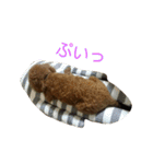 てつちゃん3（個別スタンプ：7）