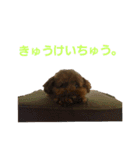 てつちゃん3（個別スタンプ：9）