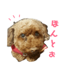 てつちゃん3（個別スタンプ：12）