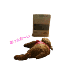 てつちゃん3（個別スタンプ：13）