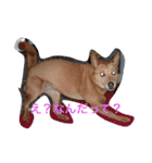 愛犬あいちゃんのかわいいスタンプ（個別スタンプ：6）