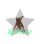 愛犬あいちゃんのかわいいスタンプ（個別スタンプ：21）