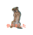 愛犬あいちゃんのかわいいスタンプ（個別スタンプ：37）