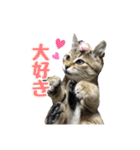 わがままお嬢  ちゃこ（個別スタンプ：20）