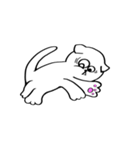 怠惰な猫'トゥトゥ'（個別スタンプ：4）